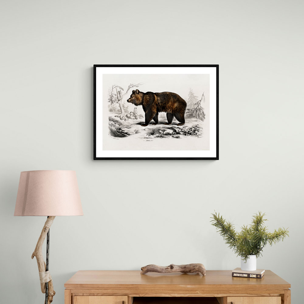 Vintage Brown Bear