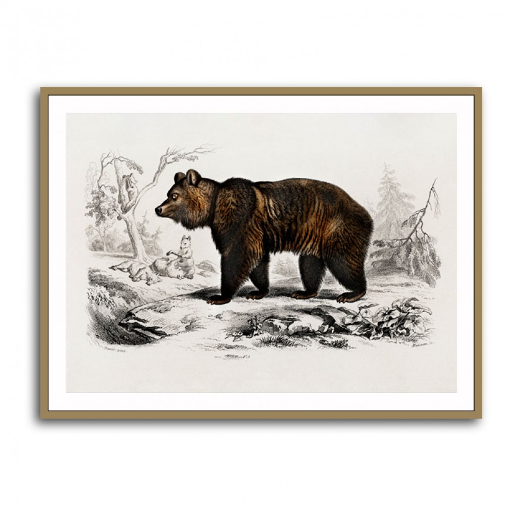 Vintage Brown Bear Vintage Brown Bear