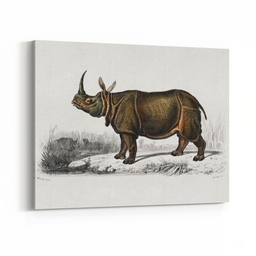Vintage Animal Wall Art