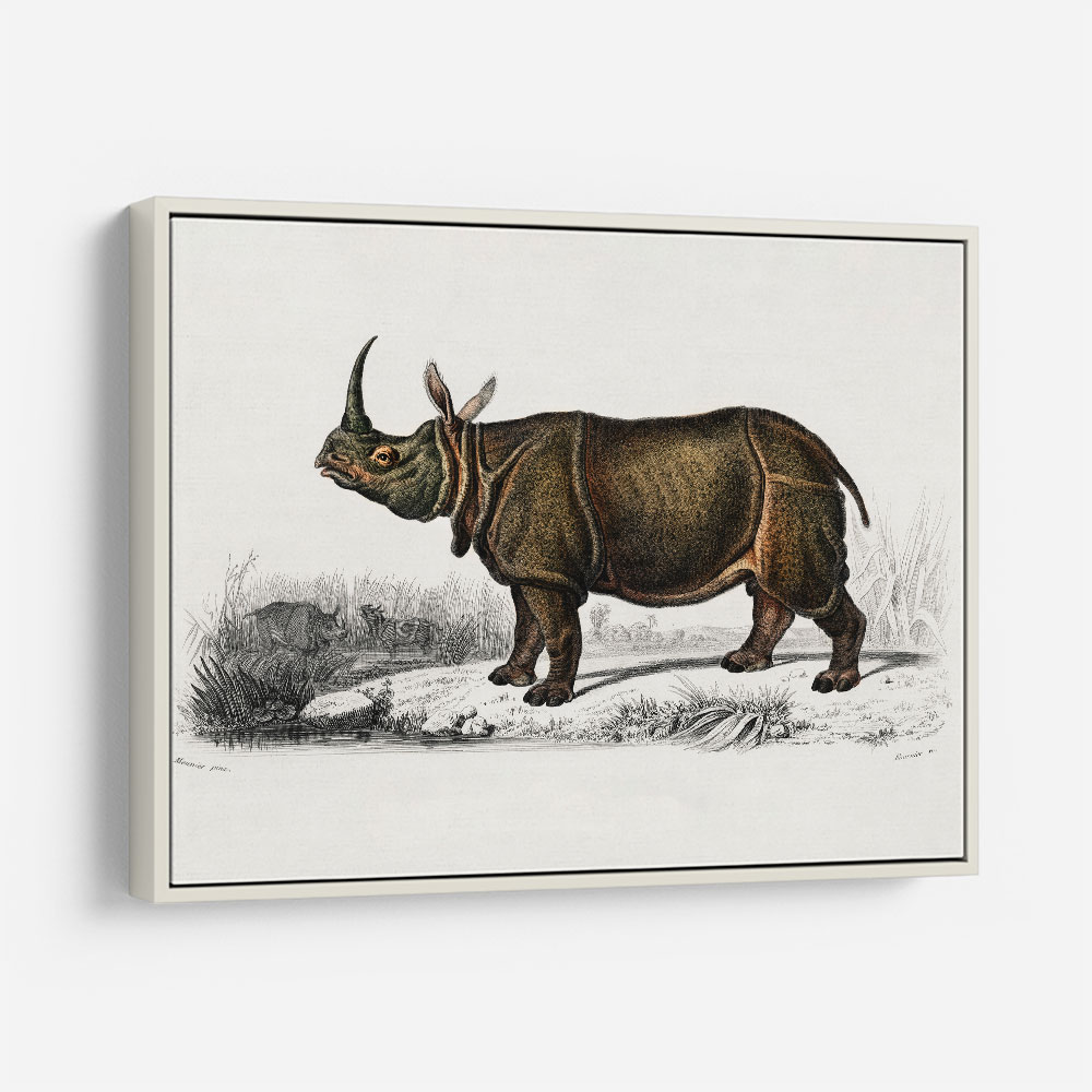 Vintage Indian Rhinoceros