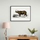 Vintage Indian Rhinoceros