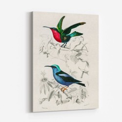 Vintage Birds Collection