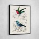 Vintage Birds Collection