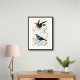 Vintage Birds Collection Vintage Birds Collection