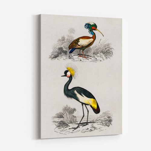 Vintage Animal Wall Art