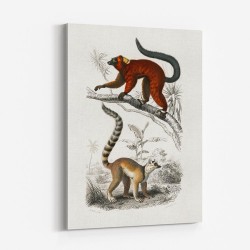 Vintage Lemur