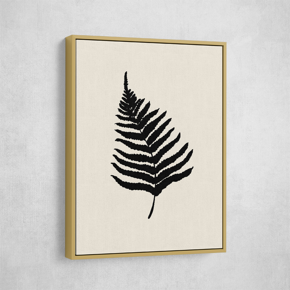 Fern