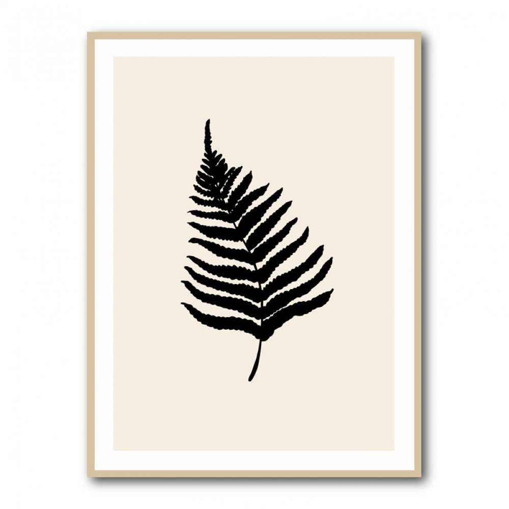 Fern