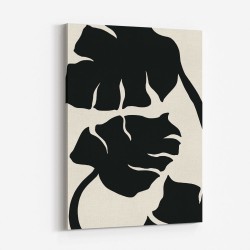 Monstera Black