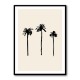 Palm Trees