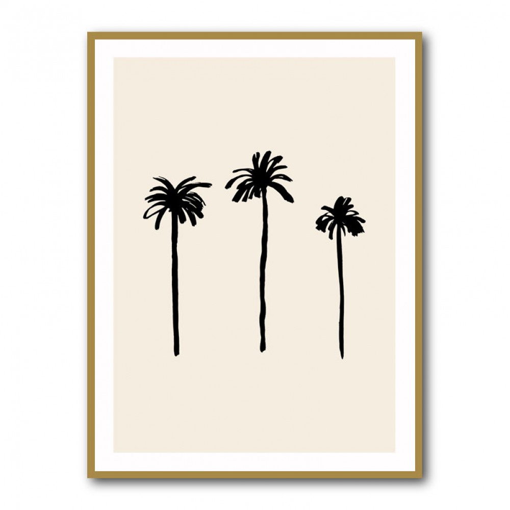 Palm Trees