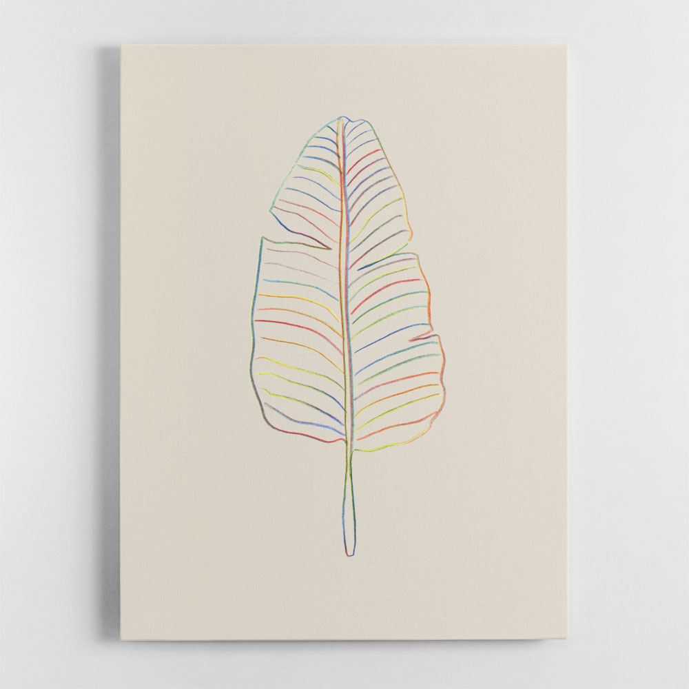 Banana Rainbow Leaf