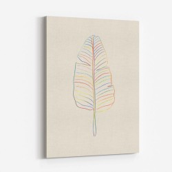 Banana Rainbow Leaf