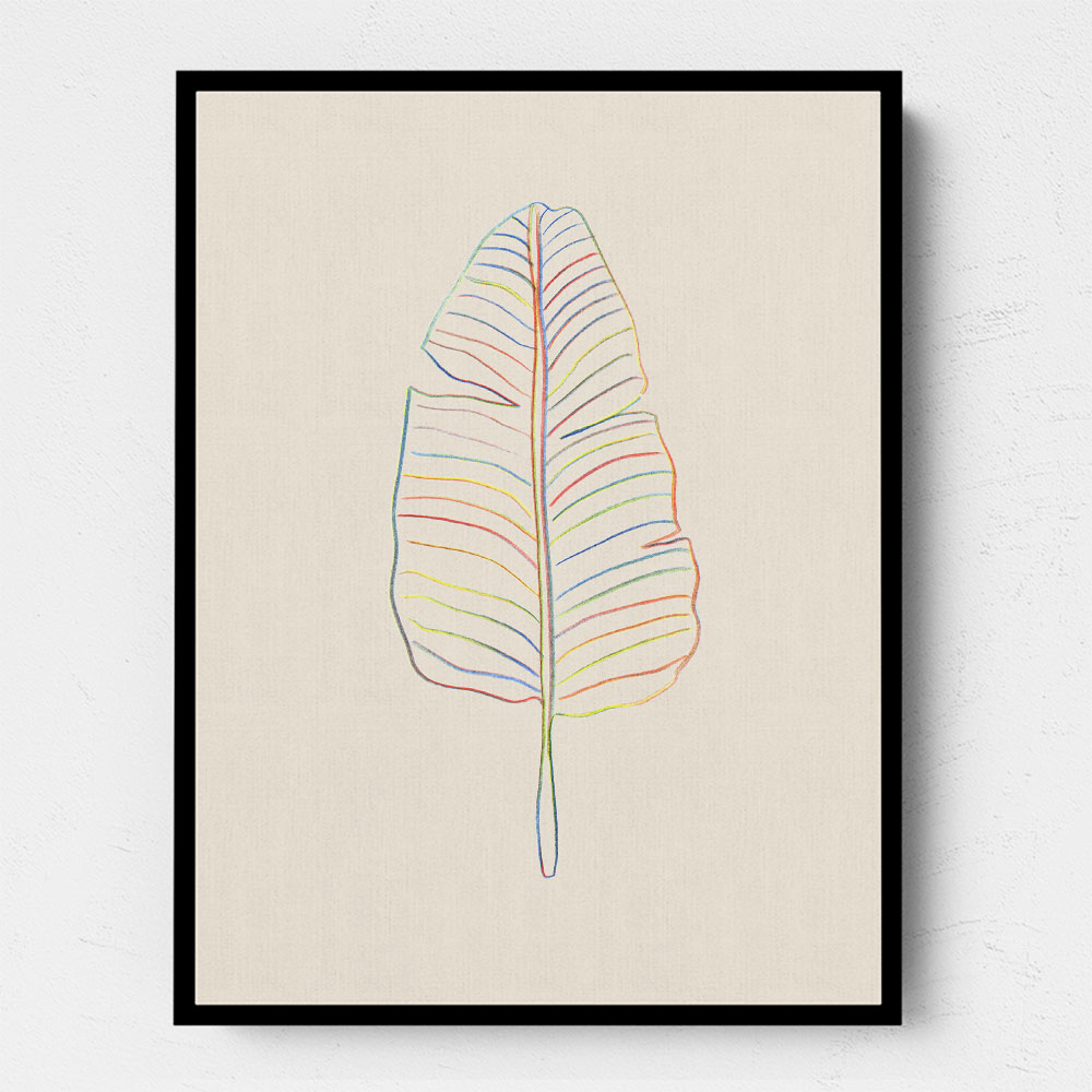 Banana Rainbow Leaf