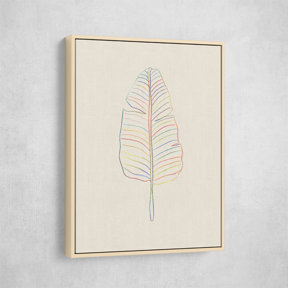 Banana Rainbow Leaf