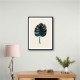 Monstera Marble Green Monstera Marble Green