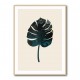 Monstera Marble Green Monstera Marble Green
