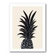 Black Pineapple