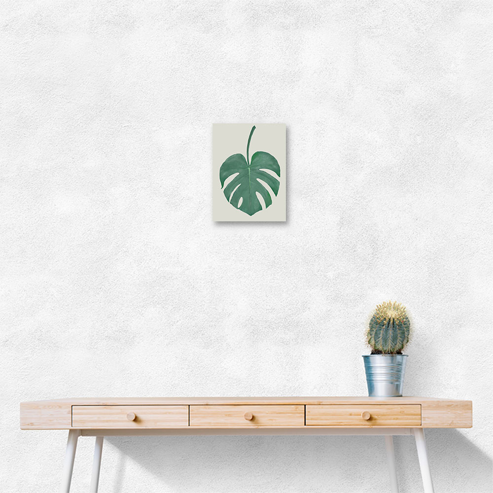 Monstera Aqua 05