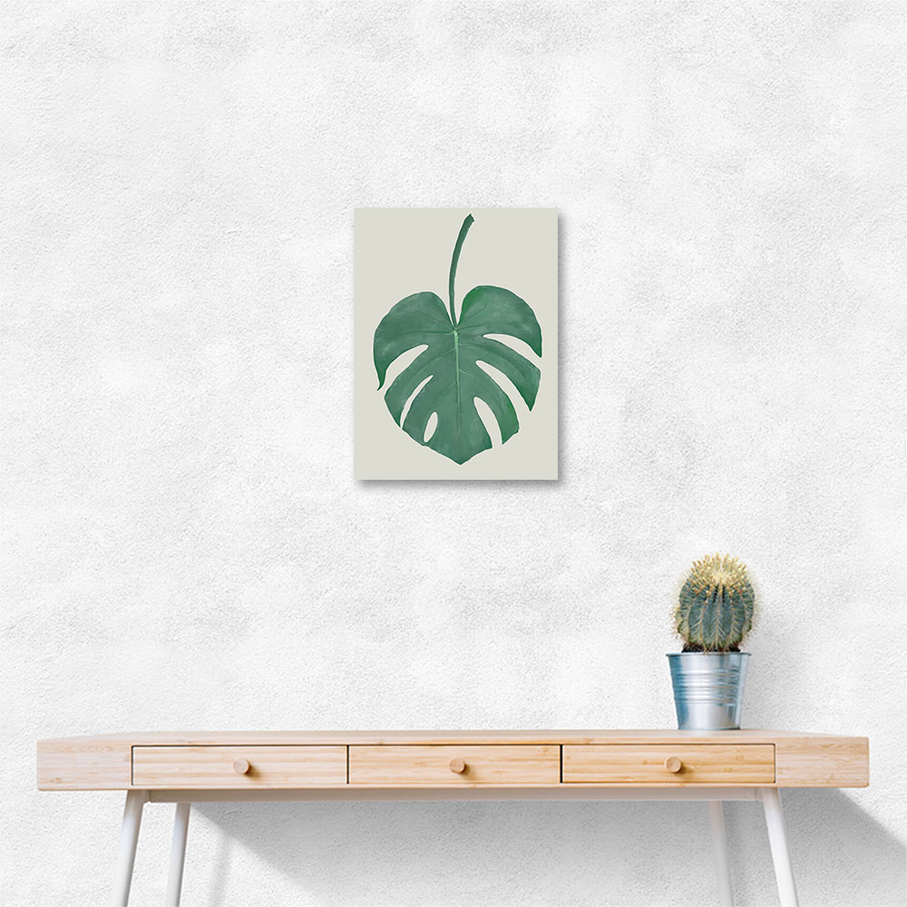 Monstera Aqua 05