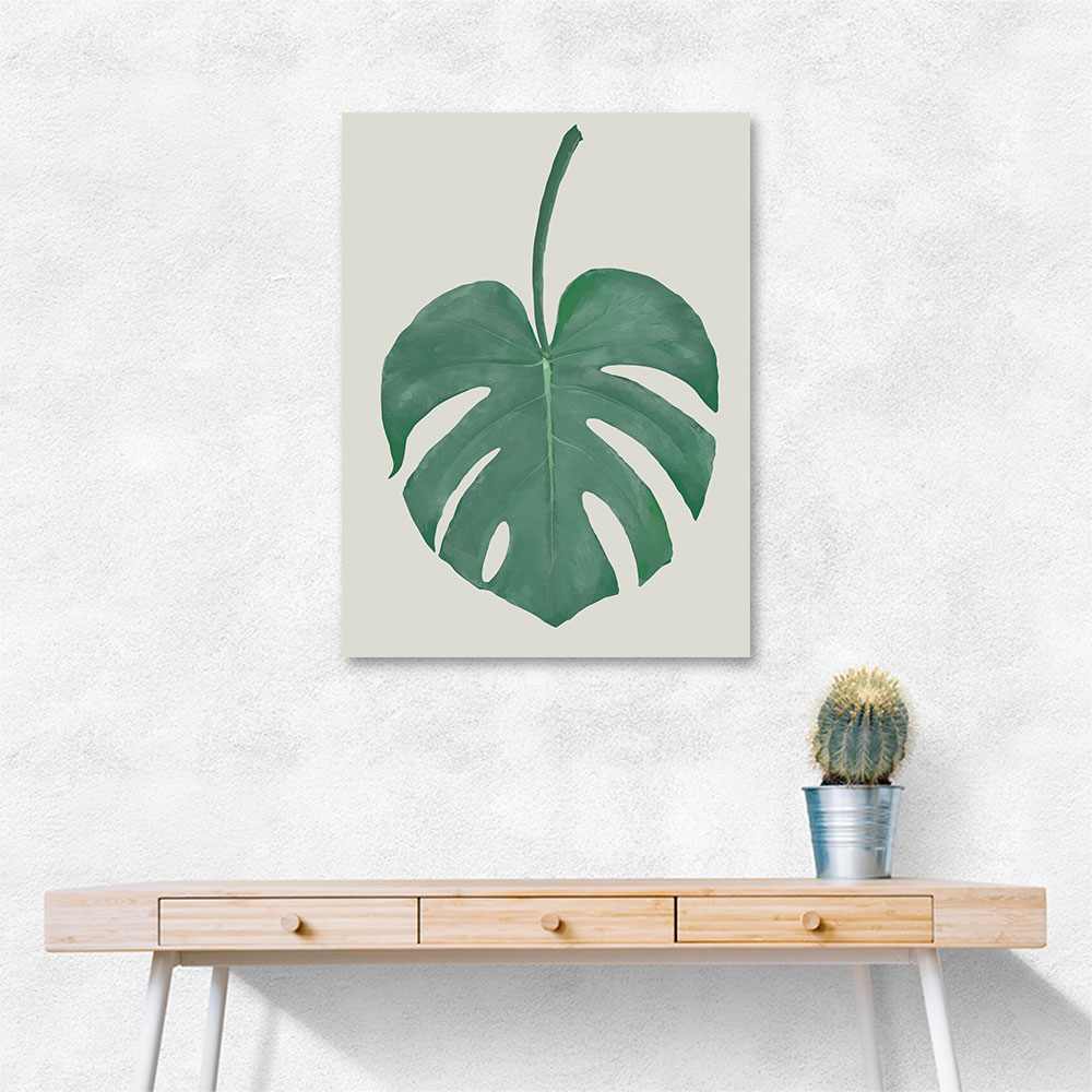 Monstera Aqua 05