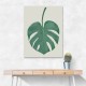 Monstera Aqua 05