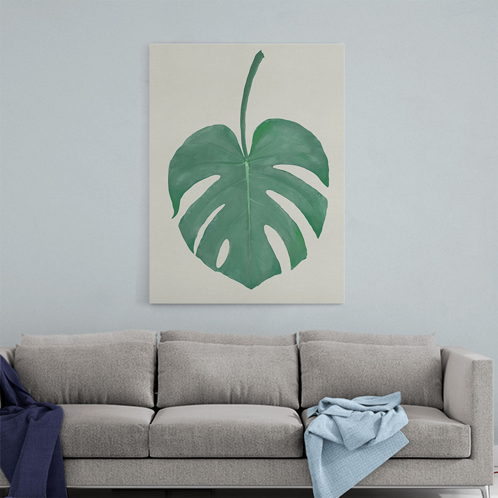 Monstera Aqua 05