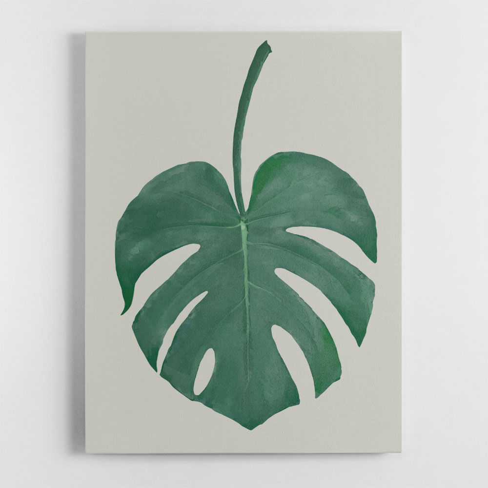 Monstera Aqua 05