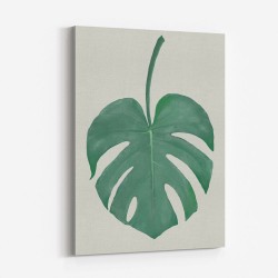 Monstera Aqua 05