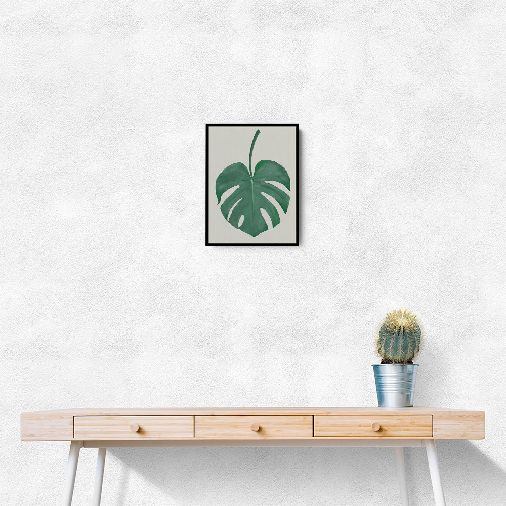 Monstera Aqua 05