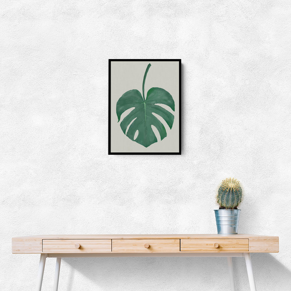 Monstera Aqua 05