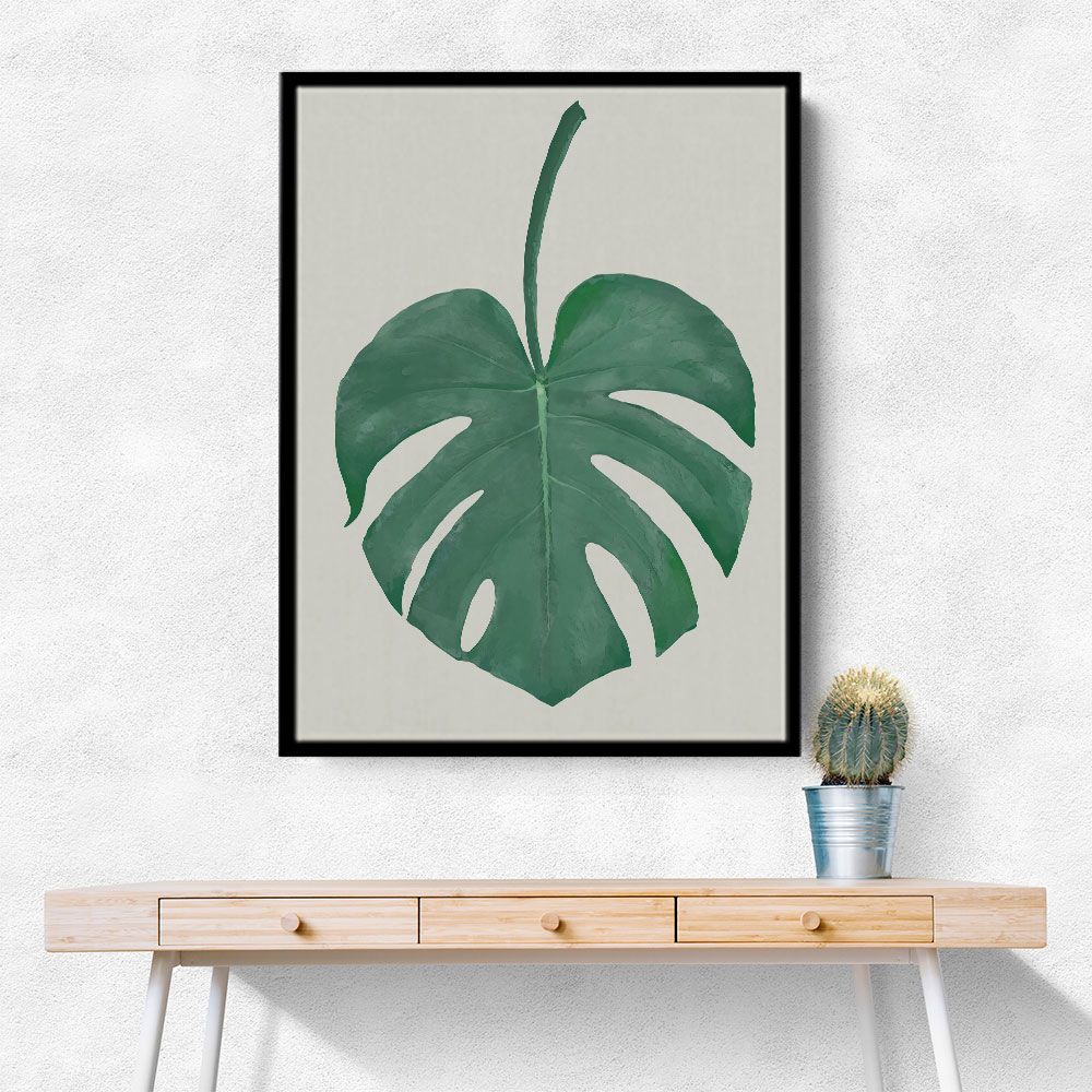 Monstera Aqua 05