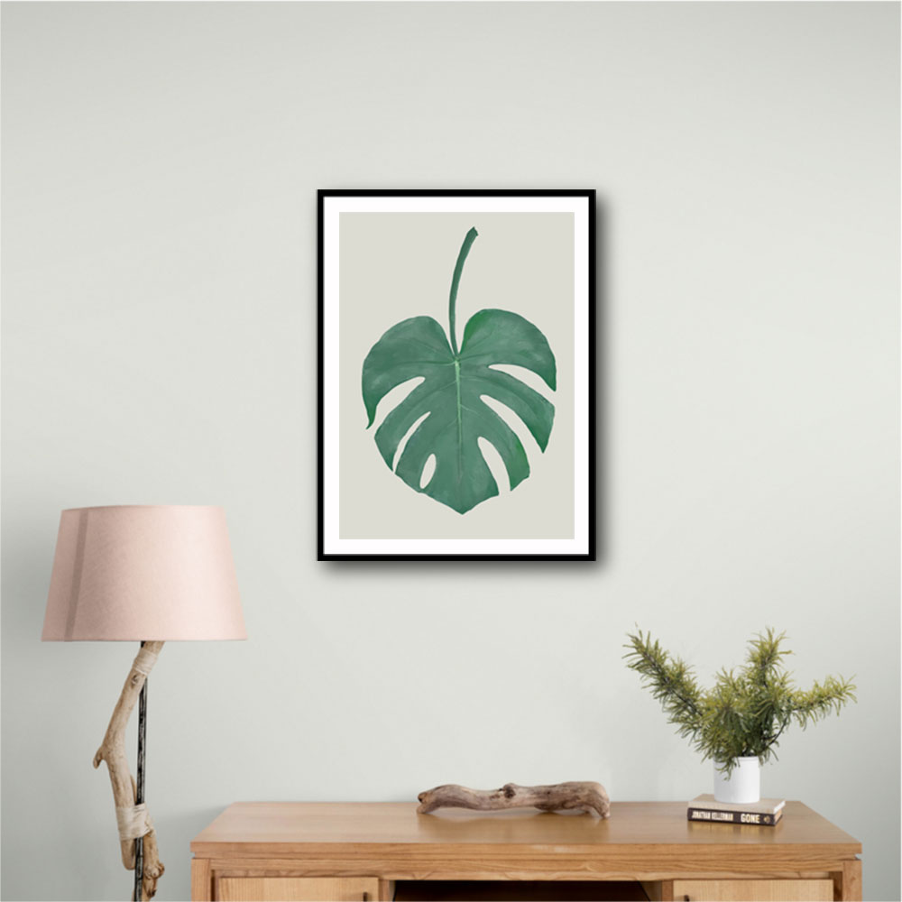 Monstera Aqua 05