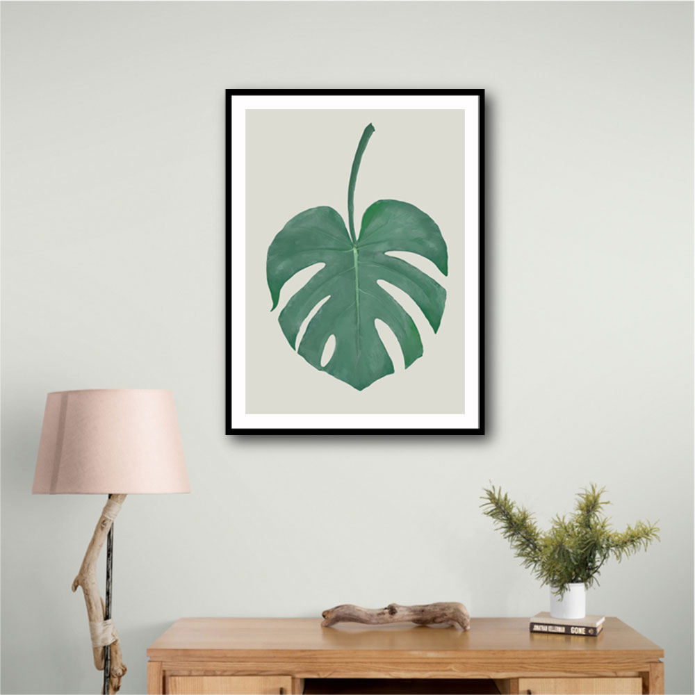 Monstera Aqua 05