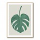 Monstera Aqua 05