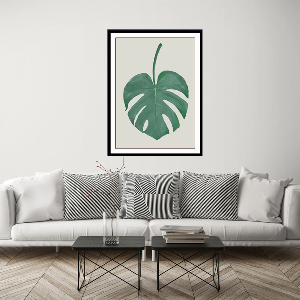 Monstera Aqua 05