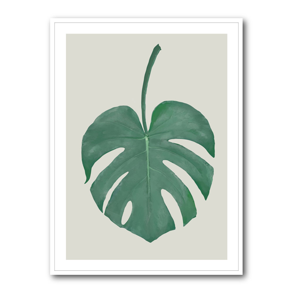 Monstera Aqua 05