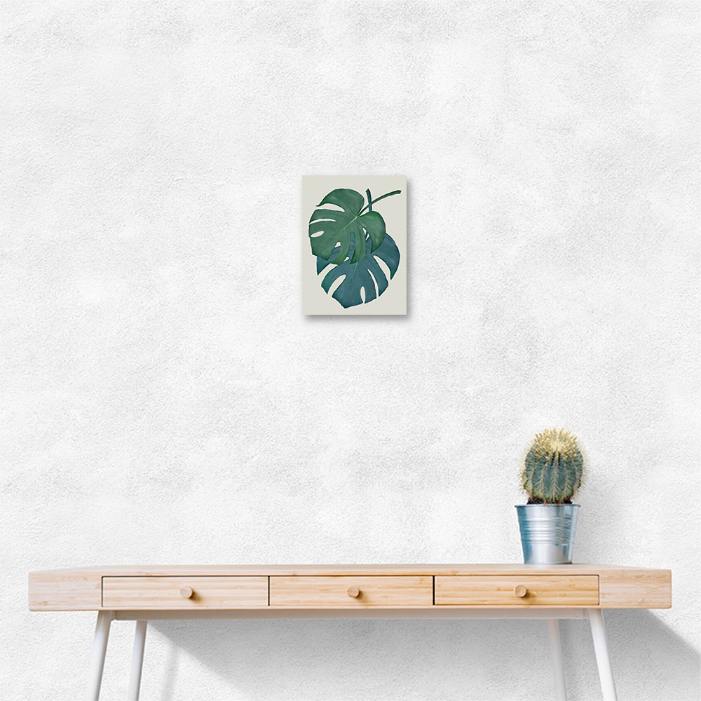 Monstera Aqua 06