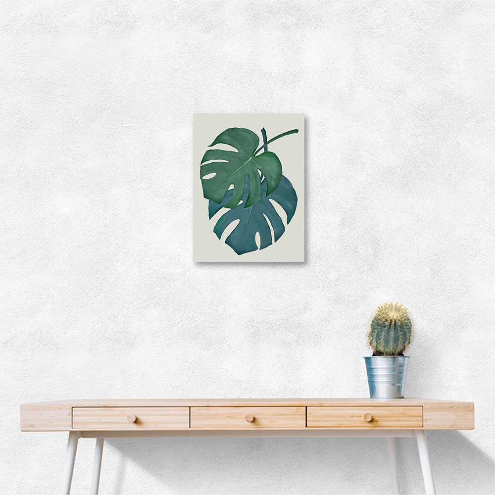 Monstera Aqua 06