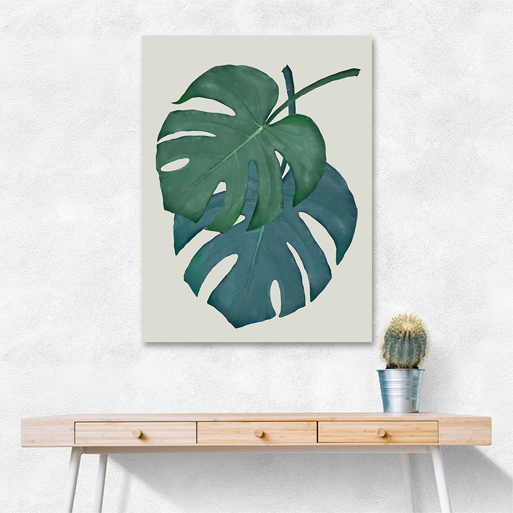 Monstera Aqua 06