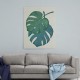 Monstera Aqua 06