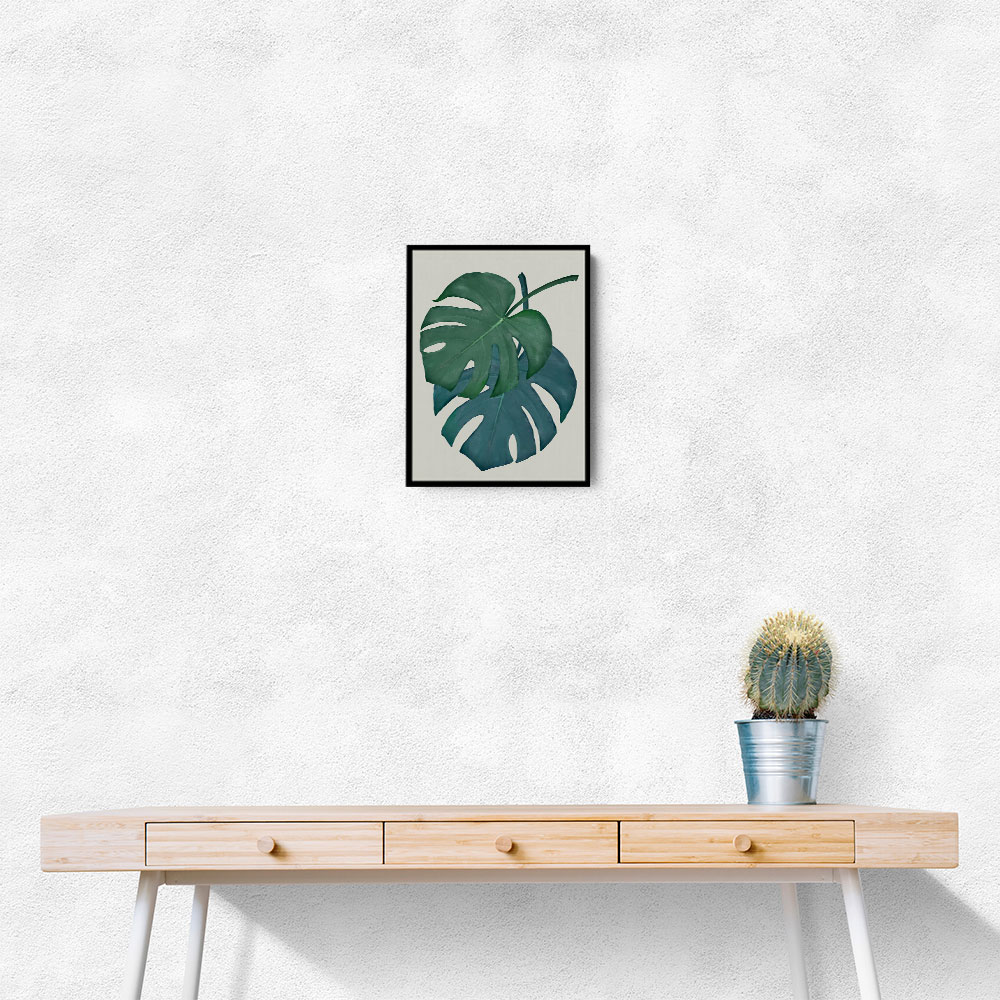 Monstera Aqua 06