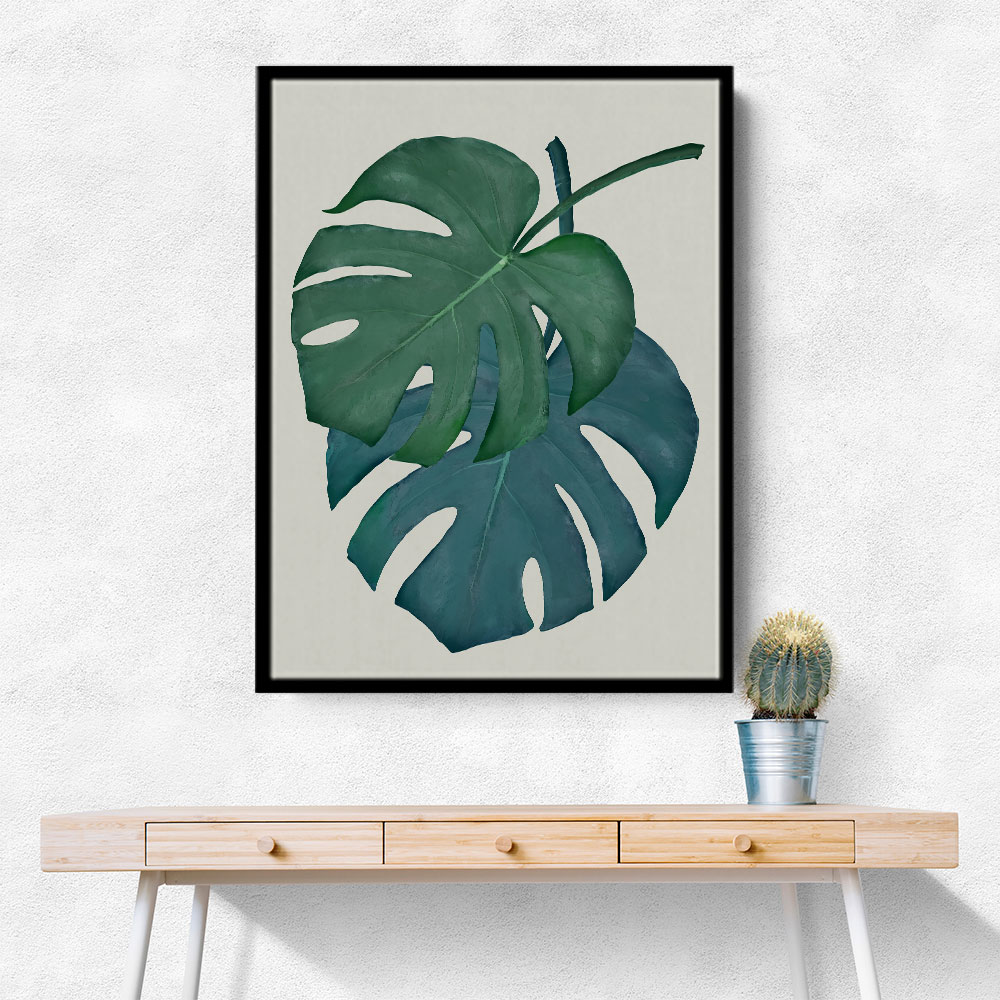 Monstera Aqua 06