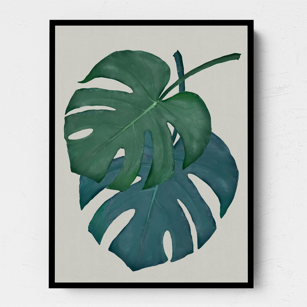 Monstera Aqua 06