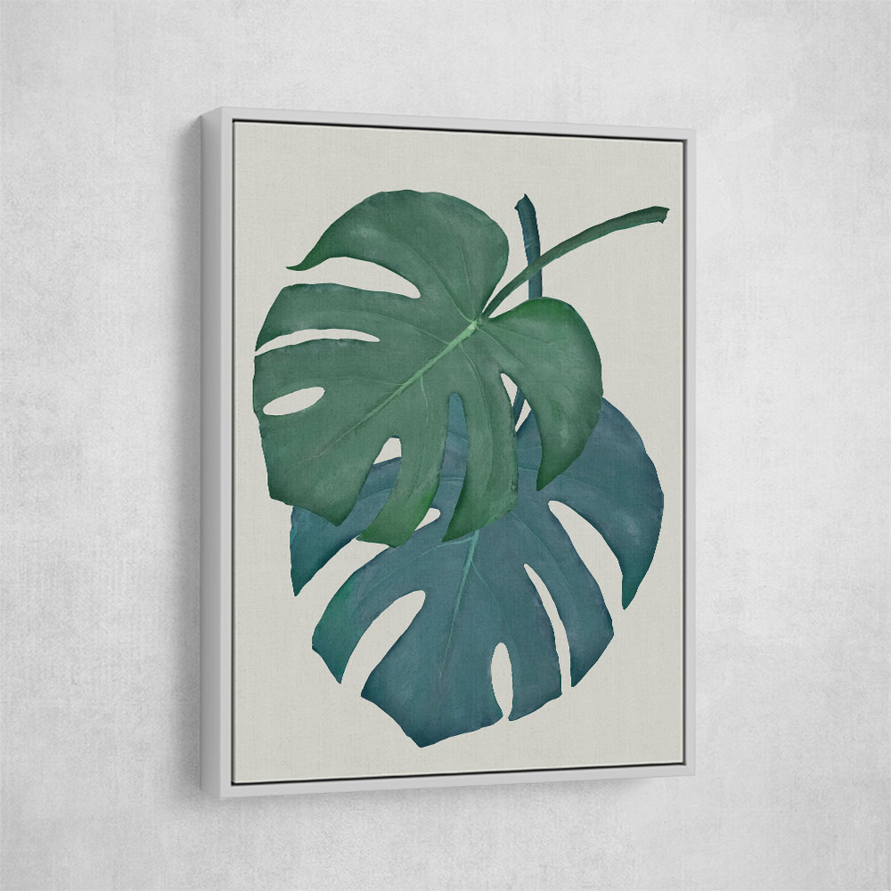 Monstera Aqua 06