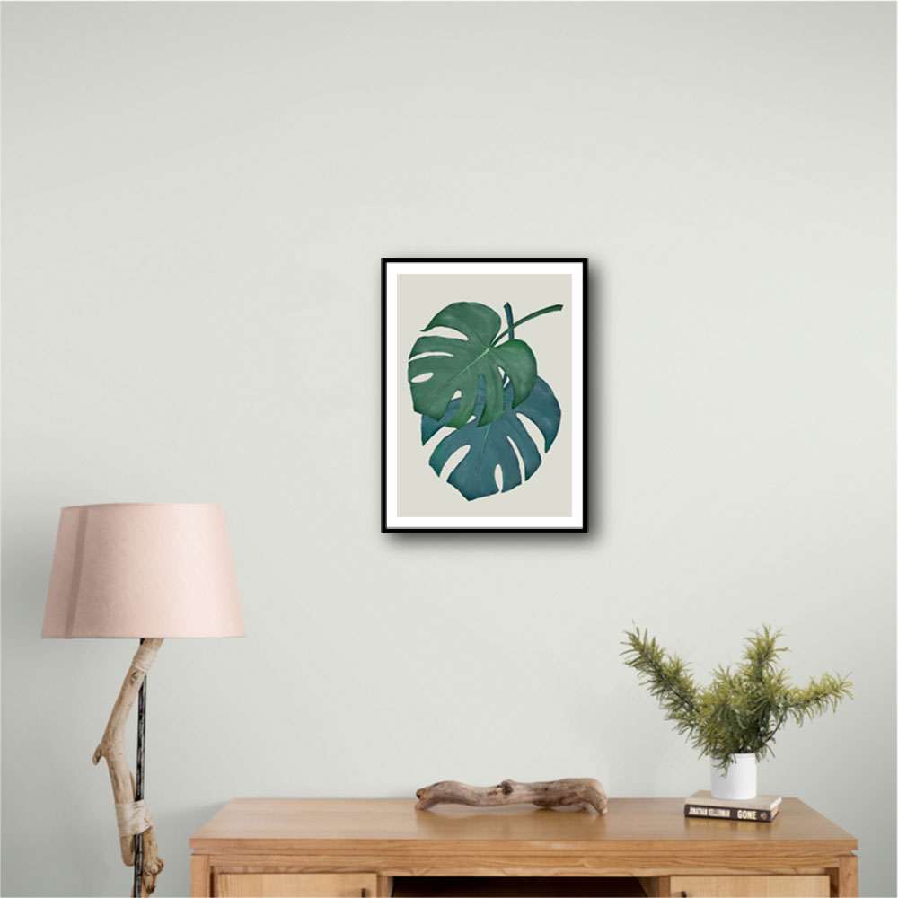 Monstera Aqua 06