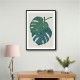 Monstera Aqua 06