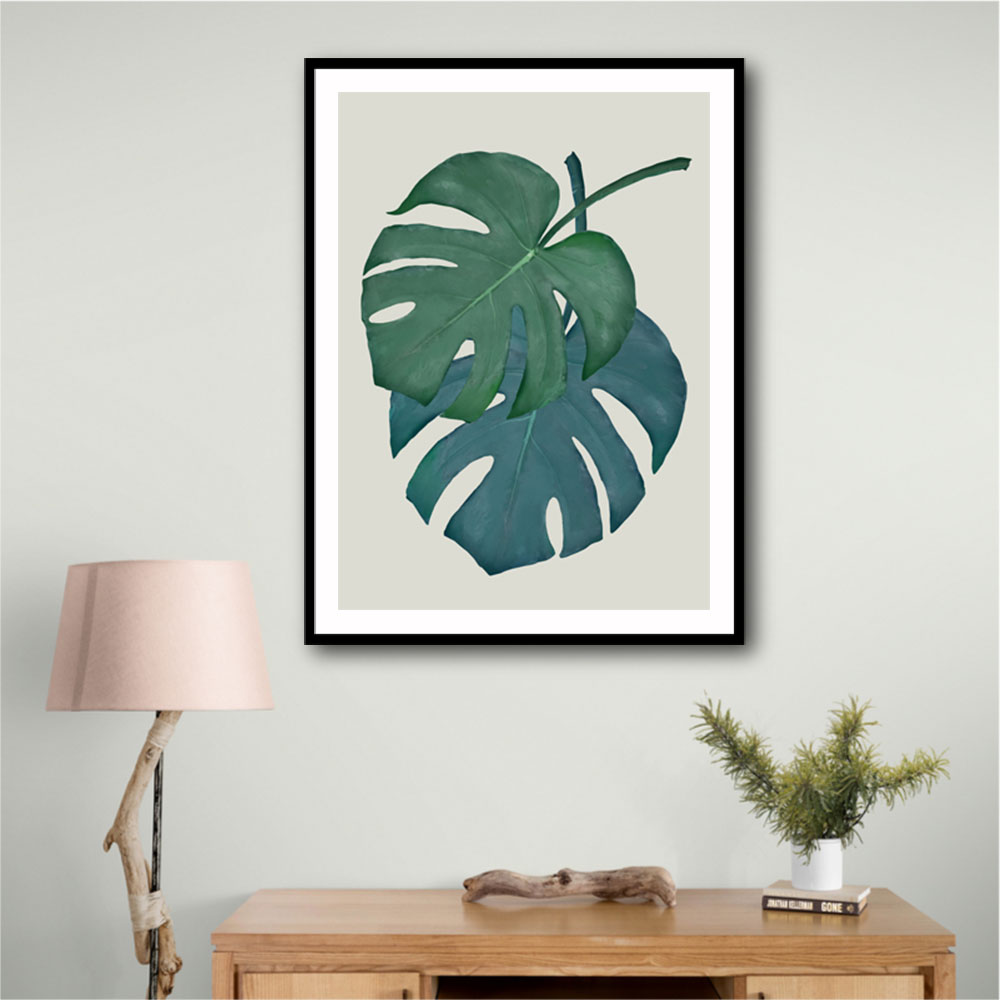 Monstera Aqua 06