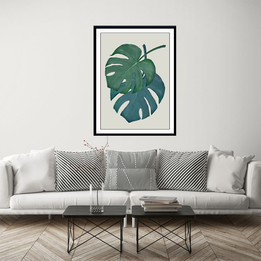 Monstera Aqua 06