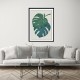 Monstera Aqua 06